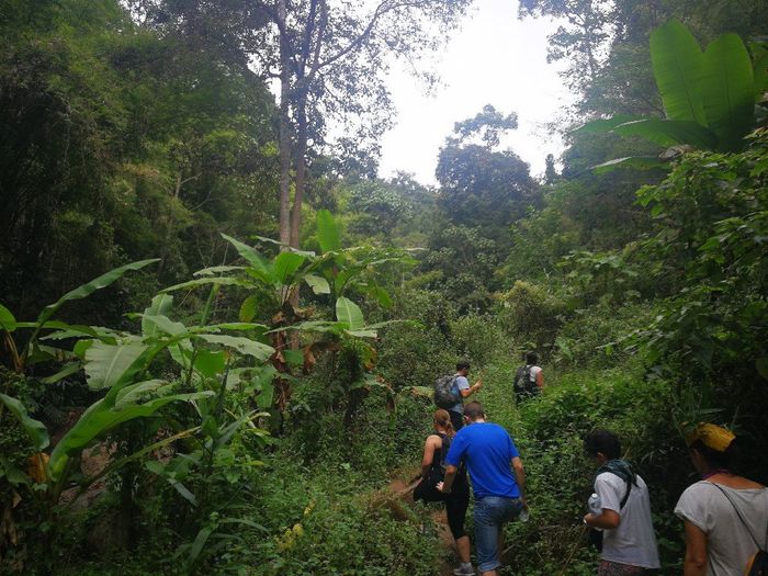 Thailandia, viaggio indimenticabile! - 16