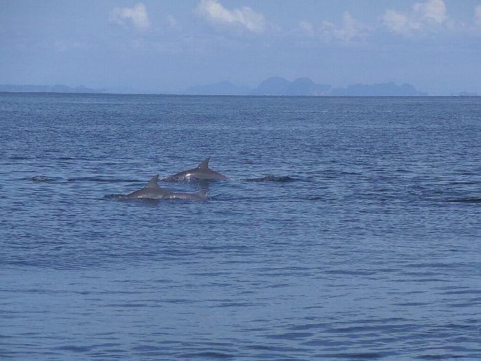 Thailandia, viaggio indimenticabile! - 22