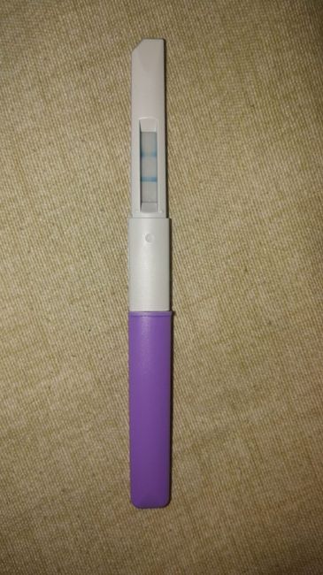 Test ovulazione come test precoce gravidanza.. 1