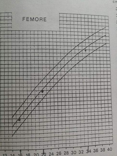 Mamme luglio 2020 - 1