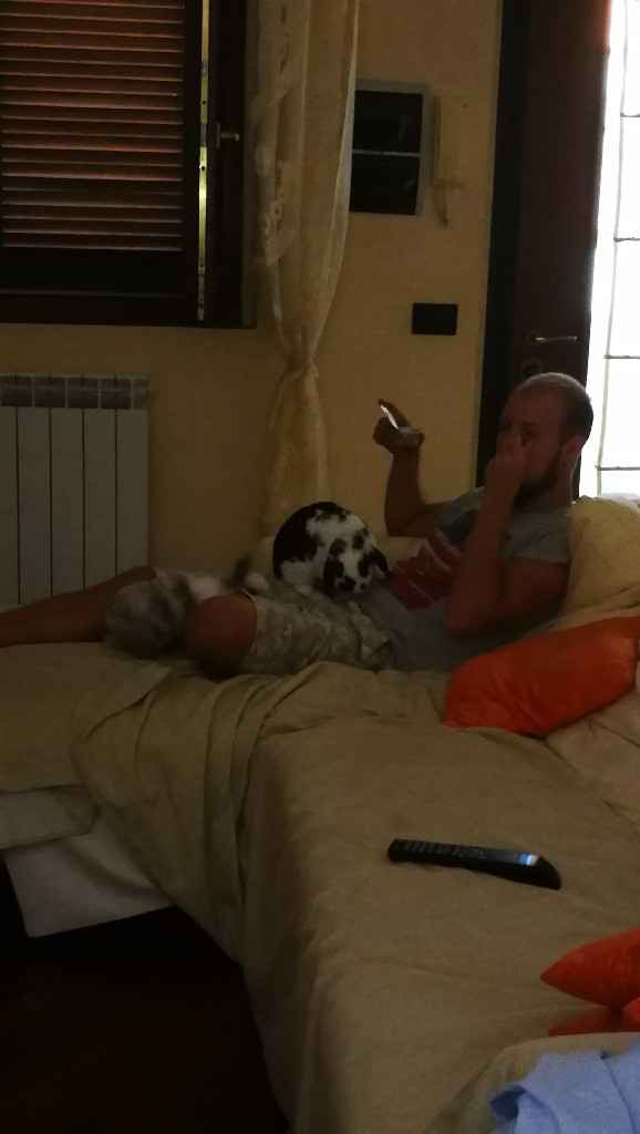  Vivere insieme ad...un animale domestico! - 2