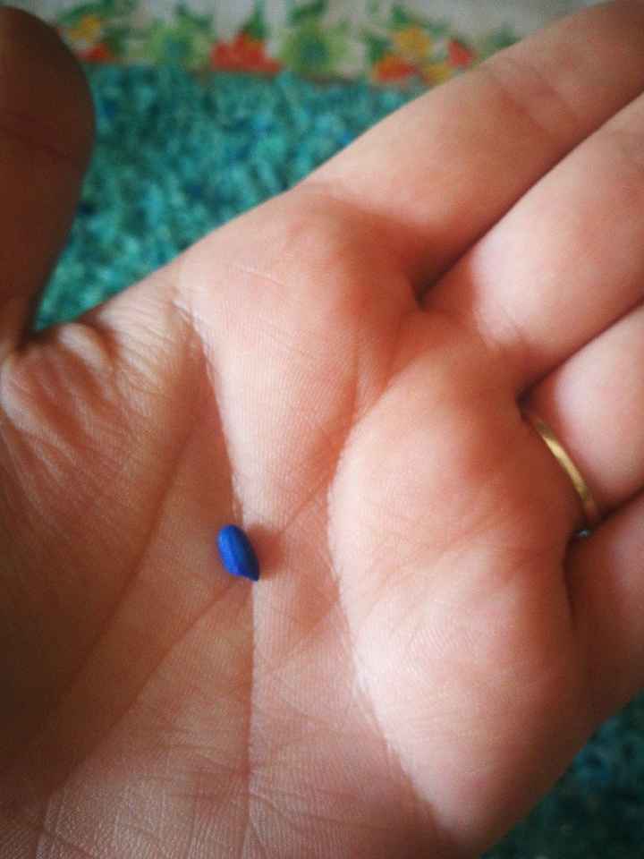 Riso colorato... Aiuto - 2