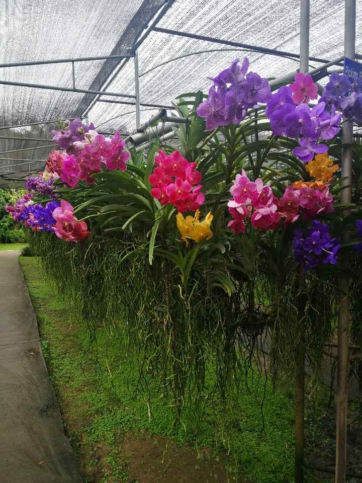 Thailandia, viaggio indimenticabile! - 12