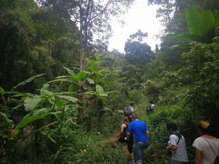 Thailandia, viaggio indimenticabile! - 16