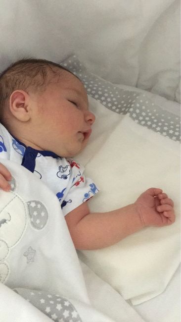 Aggiornamenti mamma e figlio - 4