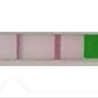 Chi non le aspetta per novembre 2023 🌰🍂🤎 - 1