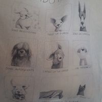 Crisi bomboniere - 1