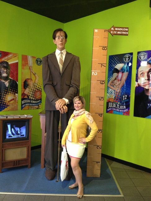 Honeymoon, i ❤ fiordi!  - 19