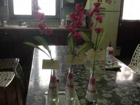 -4 e tableau Ole'! - 1