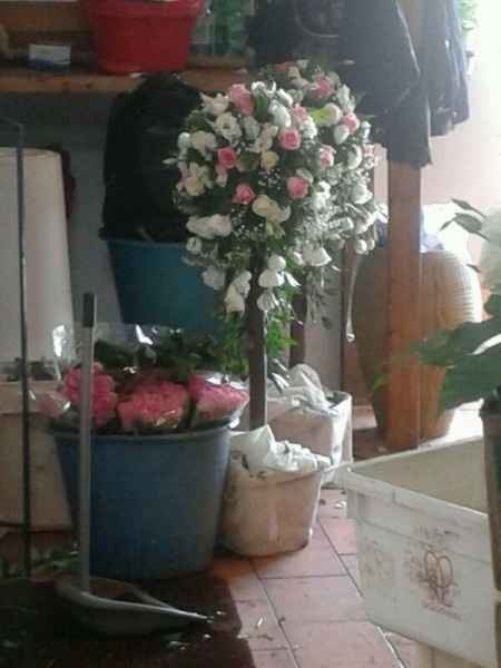 Oggi mi sposo, qui e'tutto pronto! - 5