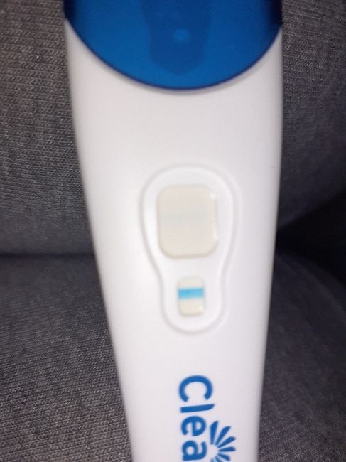 Chi non le aspetta per settembre 🍀🤞 - 1