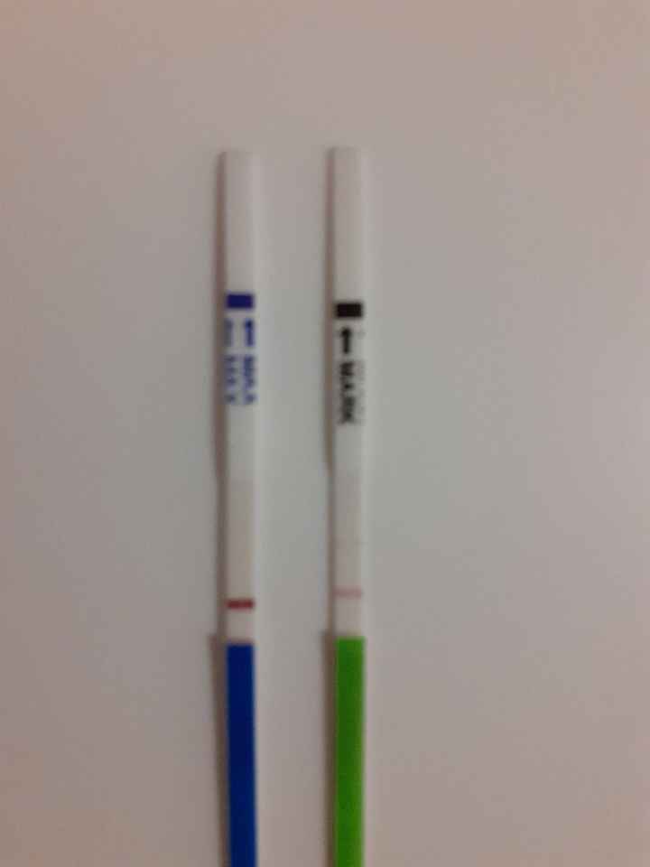 Chi non le aspetta per ottobre 2019 - 1