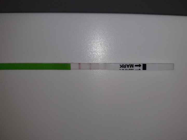 Chi non le aspetta per ottobre 2019 - 1