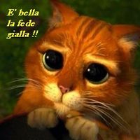 gattoconglistivali