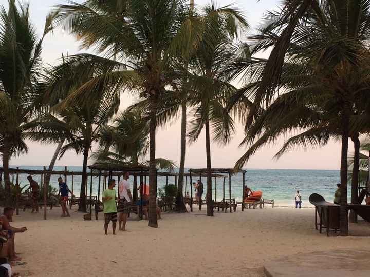 Viaggio di nozze a zanzibar - 2