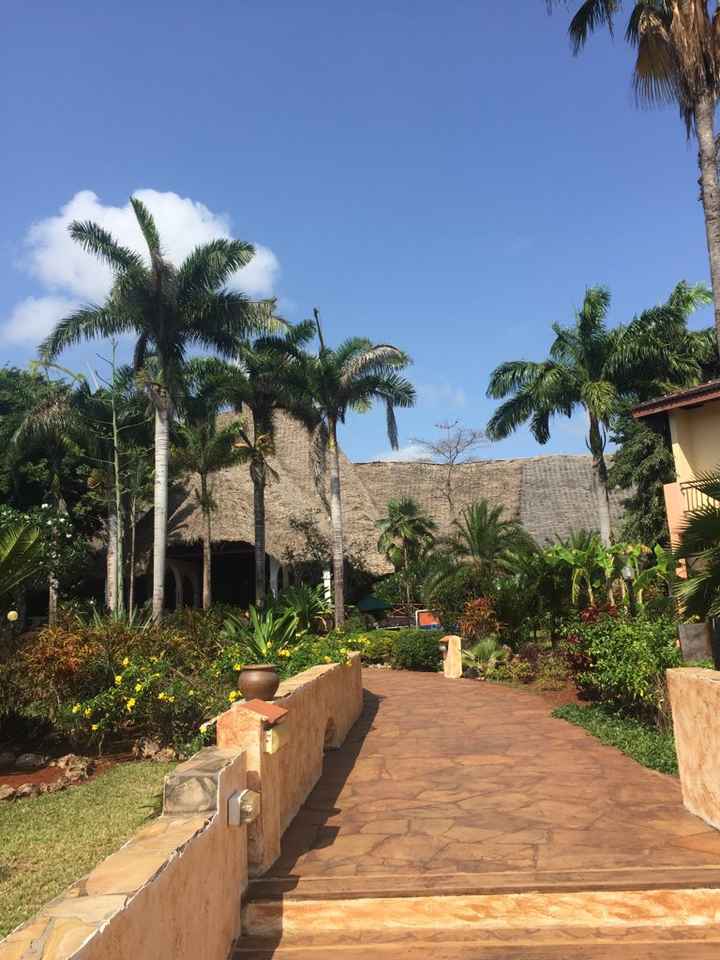 Viaggio di nozze a zanzibar - 4