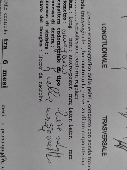 Utero subsetto/utero bicorne 1