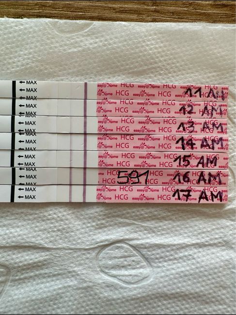 Chi non le aspetta per Febbraio 2025 ♥️❣️💟 - 1