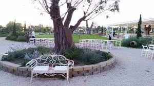 alberi secolari..prati di lavanda..