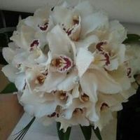 Consiglio bouquet - 1