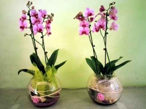 Centrotavola ?!? - 1