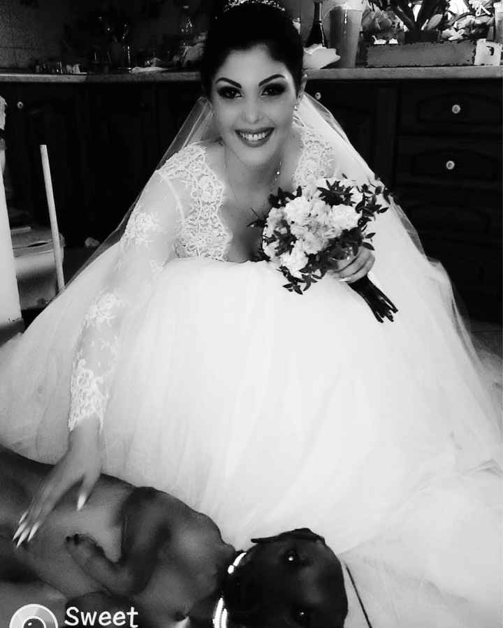 Foto con il nostro cane/gatto - 1