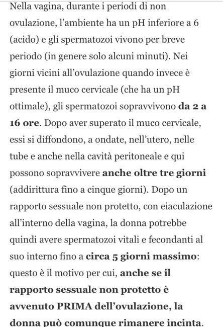 Chi non le aspetta per Dicembre 2020 🍀❣️🎄🎁🎀🌠 - 1