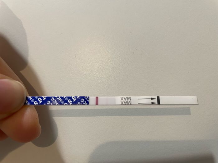 Chi non le aspetta per dicembre 2022 🤶🤶🤶 - 1