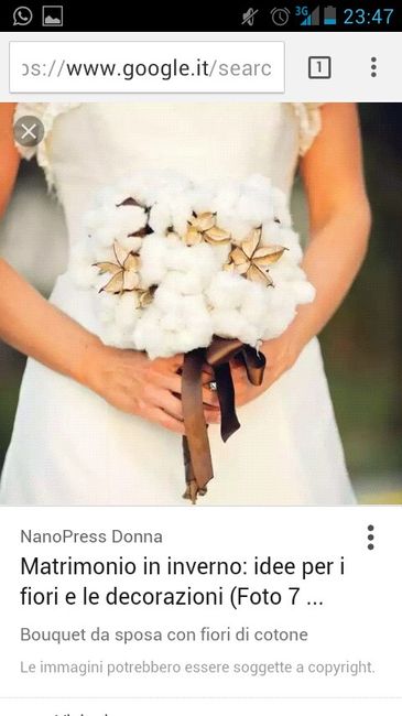 Help tema invernale! - 1