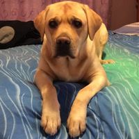 I nostri cuccioli!!! - 1