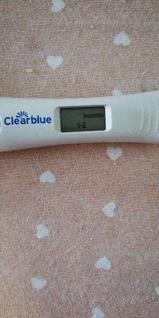 Test gravidanza canadese - 1