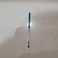 Test gravidanza canadese - 1