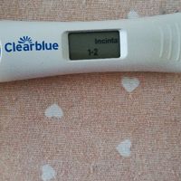 Test gravidanza canadese - 1