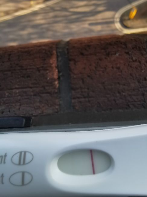 Chi non le aspetta per Aprile 2020 - 1