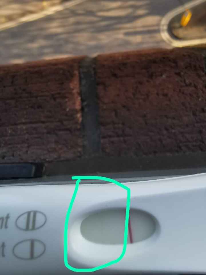 Chi non le aspetta per Aprile 2020 - 1