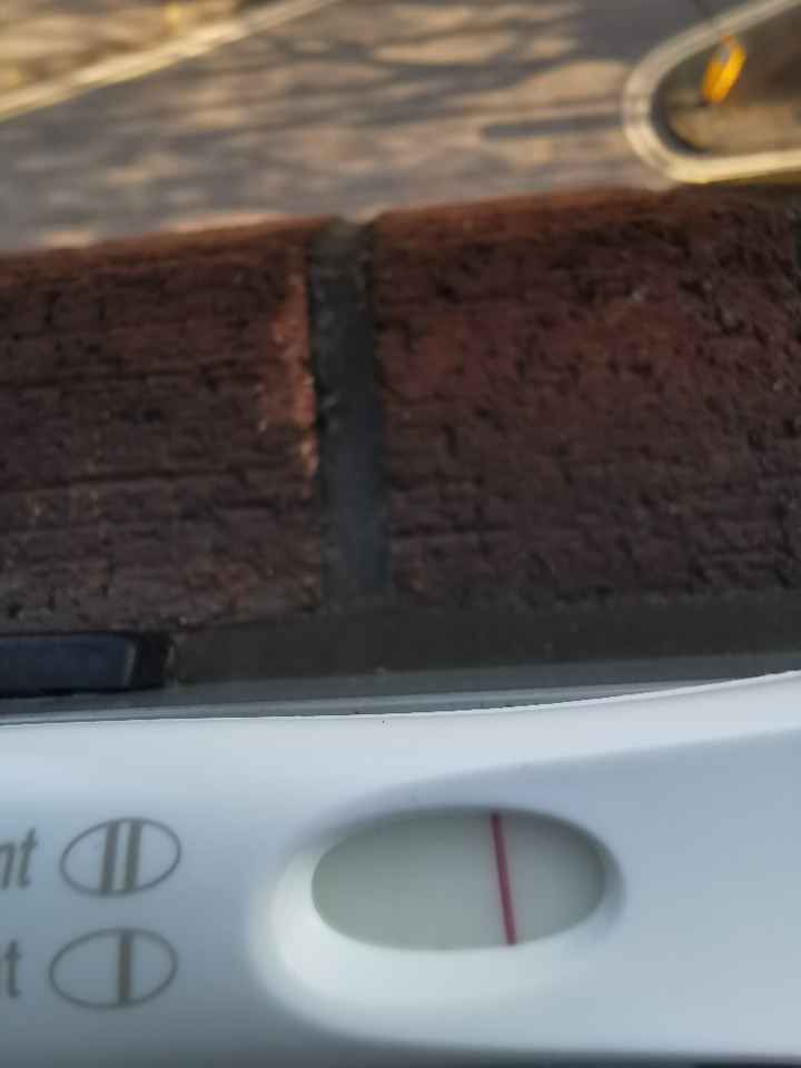 Chi non le aspetta per Aprile 2020 - 1