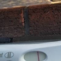 Chi non le aspetta per Aprile 2020 - 1