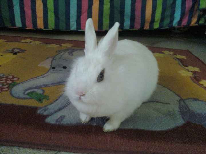 Guardate chi vi saluta!!! - 1