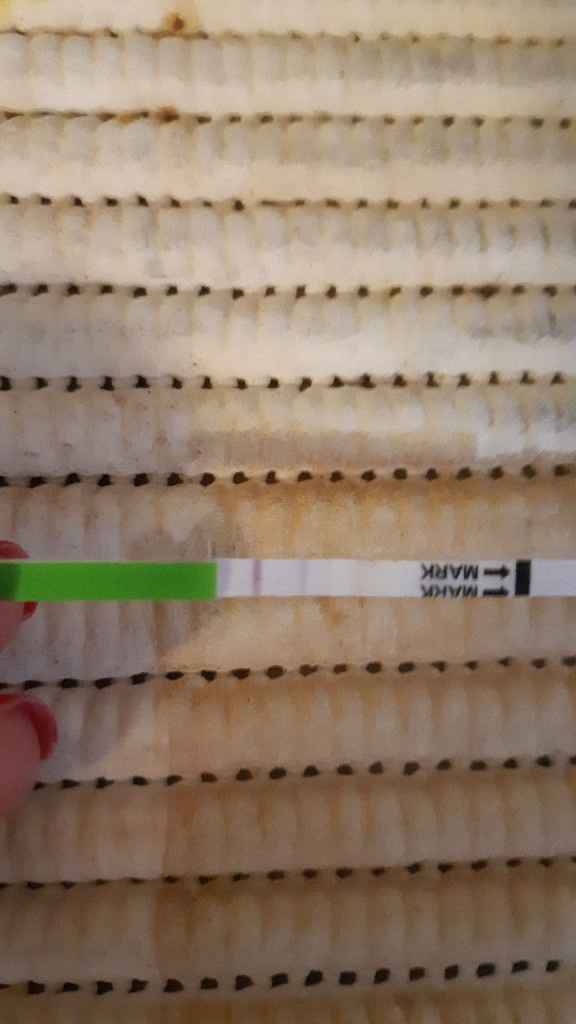 Aspiranti di maggio - 1