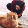 Clementina
