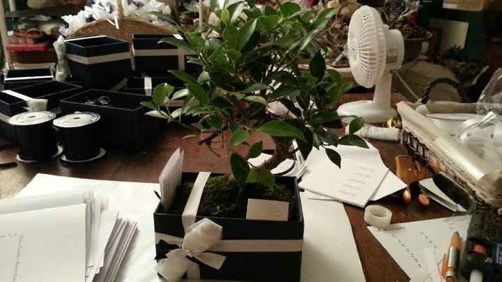 Le mie bomboniere... opinioni e suggerimenti please? - 1