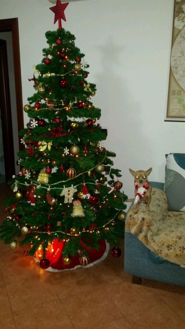 It's christmas time! mi fate vedere i vostri alberelli? - 1
