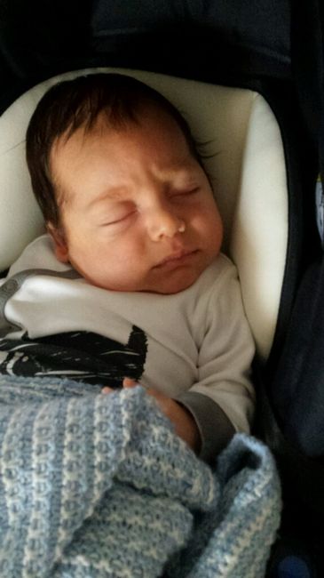 Oggi compio 2 mesi! - 4