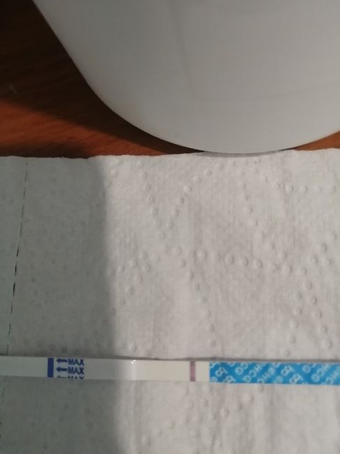 Chi non le aspetta per settembre 2020 🍀🐞🤞🌈🌻🎁🏖️🌞💝 - 1