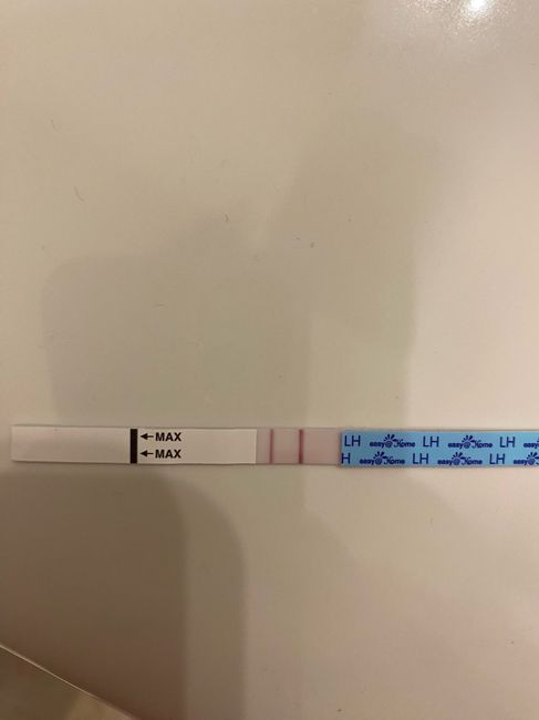 Chi non le aspetta per marzo 2023🍀 - 1