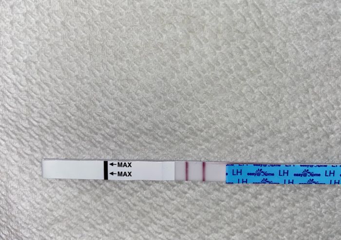 Chi non le aspetta per marzo 2023🍀 - 1