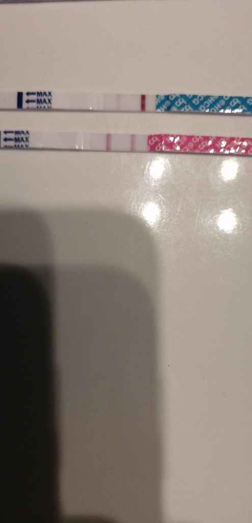 Chi non le aspetta per luglio 2020 🍀🐞🤞🌈🌻 - 1