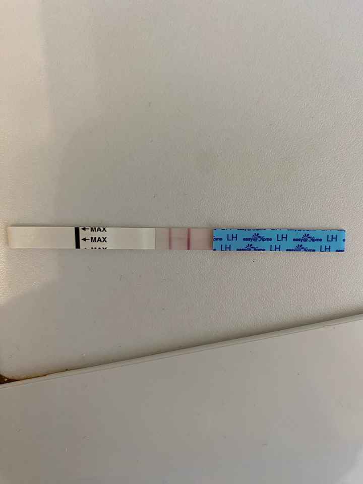 Chi non le aspetta per marzo 2023🍀 - 1