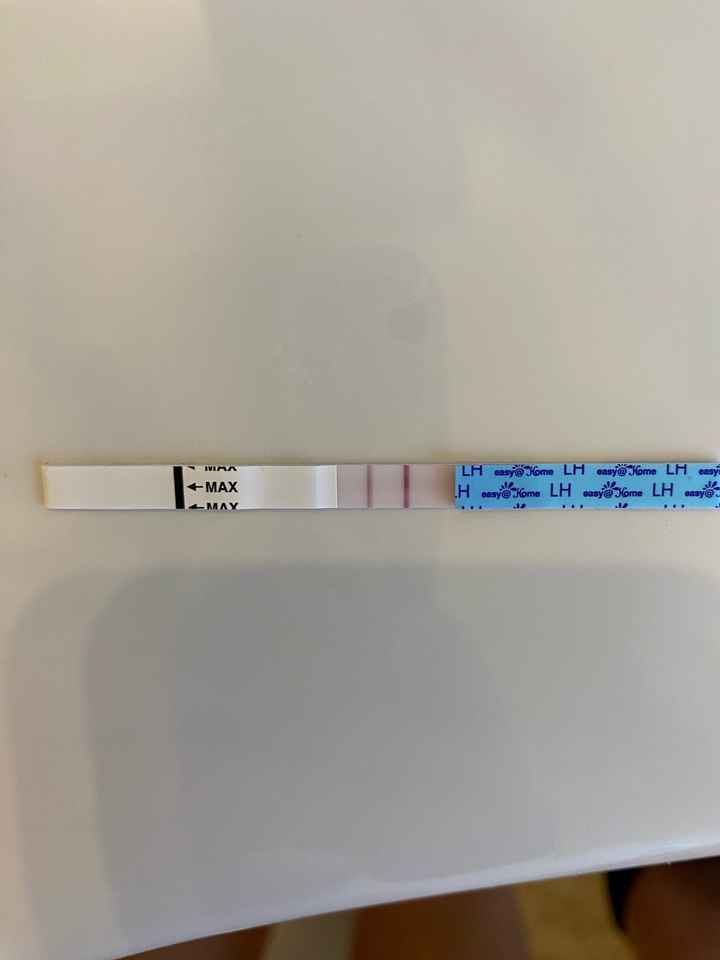 Chi non le aspetta per marzo 2023🍀 - 1