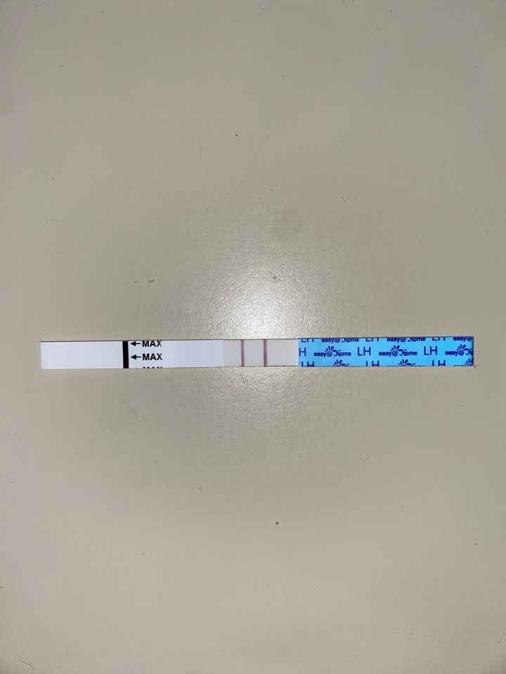 Chi non le aspetta per marzo 2023🍀 - 1